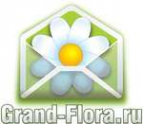 Логотип компании Доставка цветов Гранд Флора (ф-л г.Кумертау)